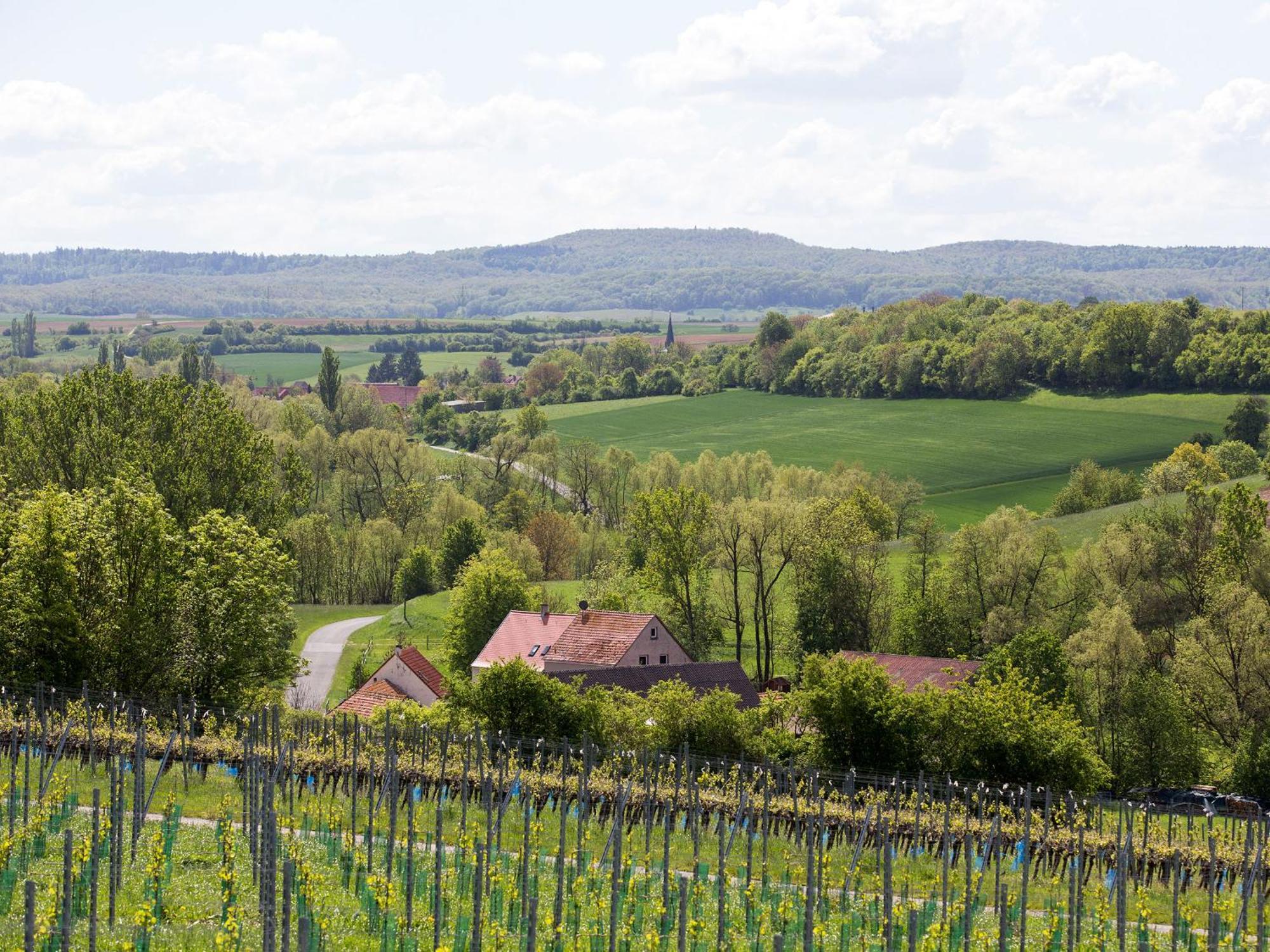 Apartmán Biobauer Heubach Iphofen Exteriér fotografie
